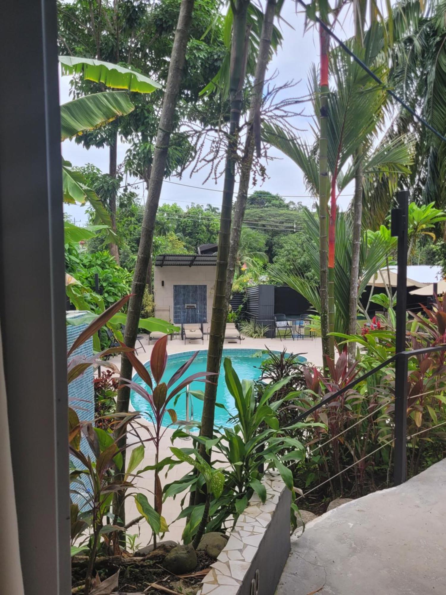 Tico Tico Villas - Adult Only Мануэль-Антонио Экстерьер фото