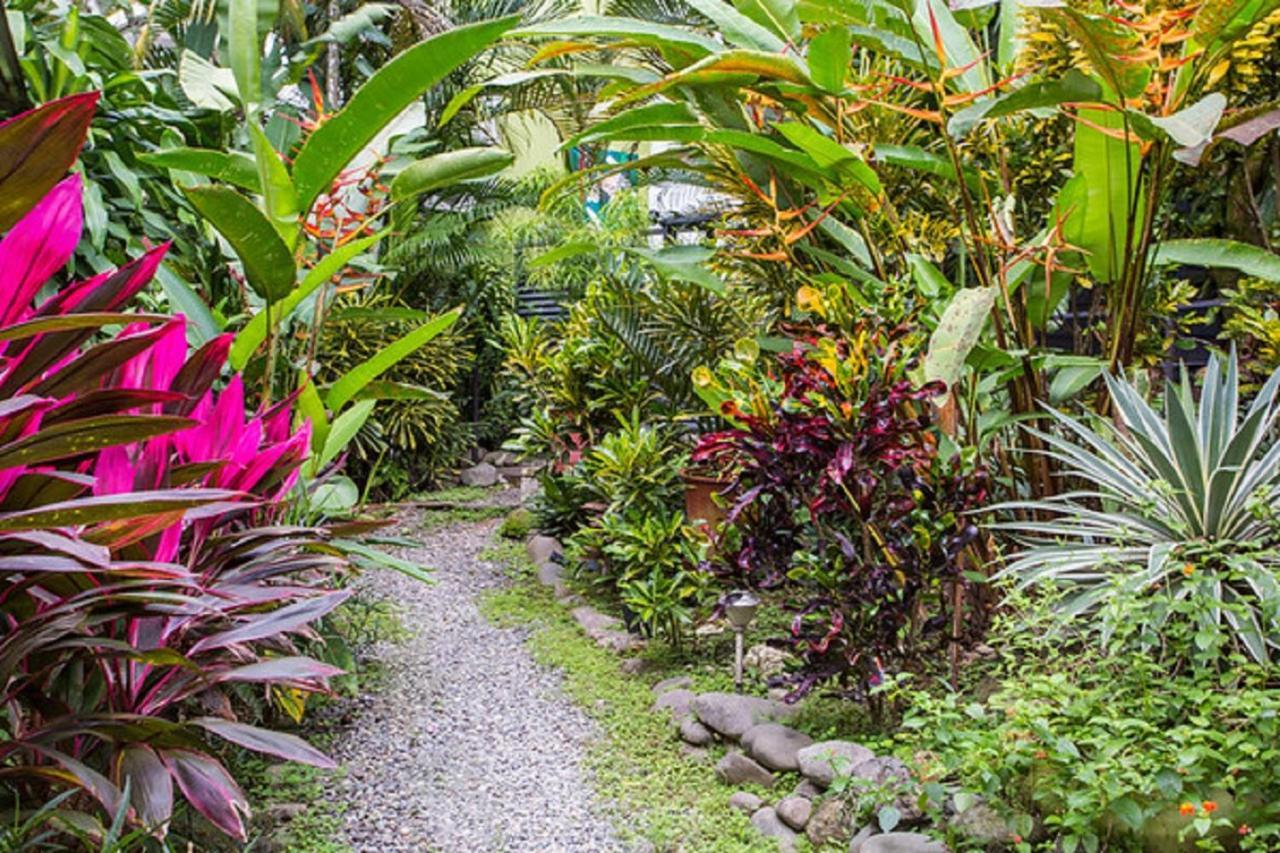 Tico Tico Villas - Adult Only Мануэль-Антонио Экстерьер фото