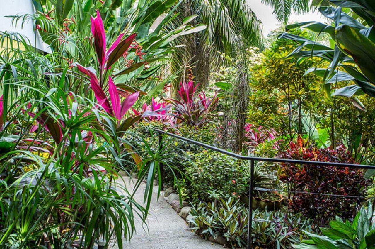 Tico Tico Villas - Adult Only Мануэль-Антонио Экстерьер фото